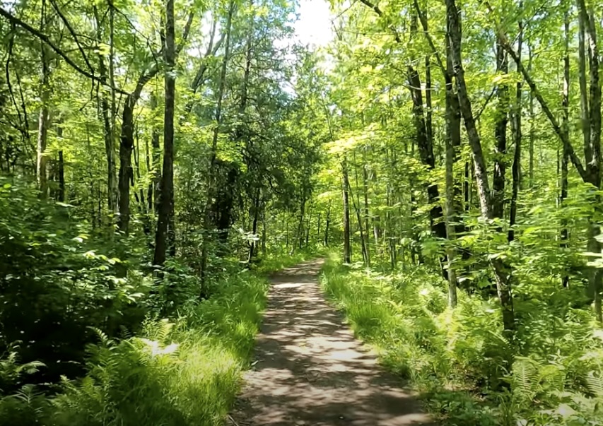 Jay Cooke State Park