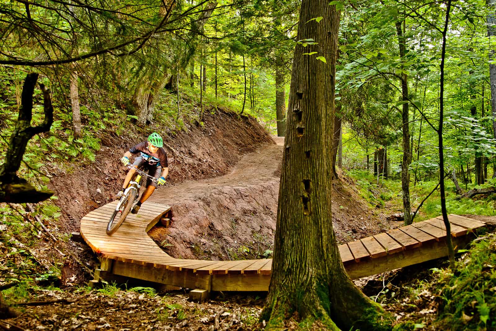 Duluth’s Trail System: A User’s Guide