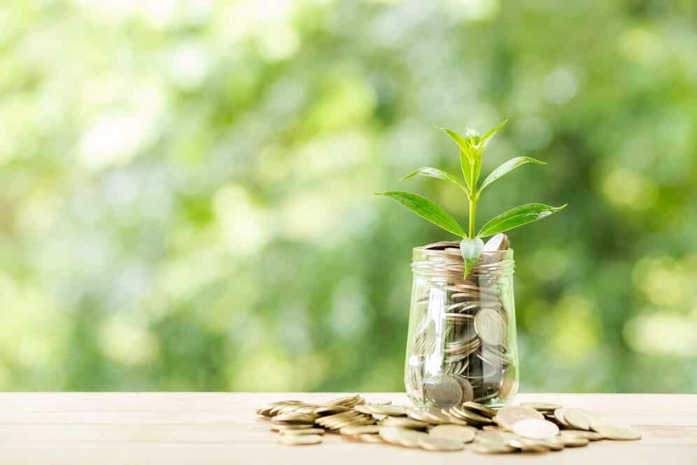 Plant growing from coins in the glass jar