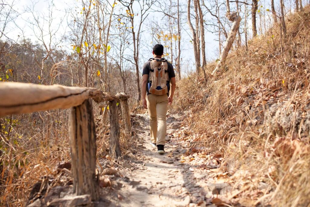 Hiker walking on path