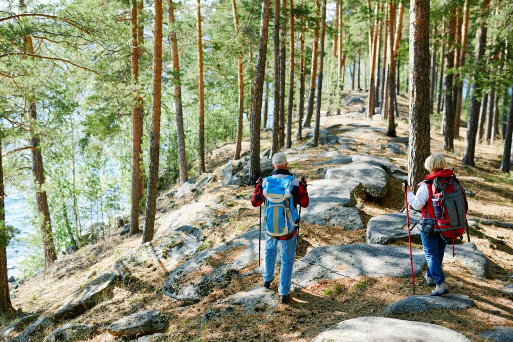 People walking in the forest